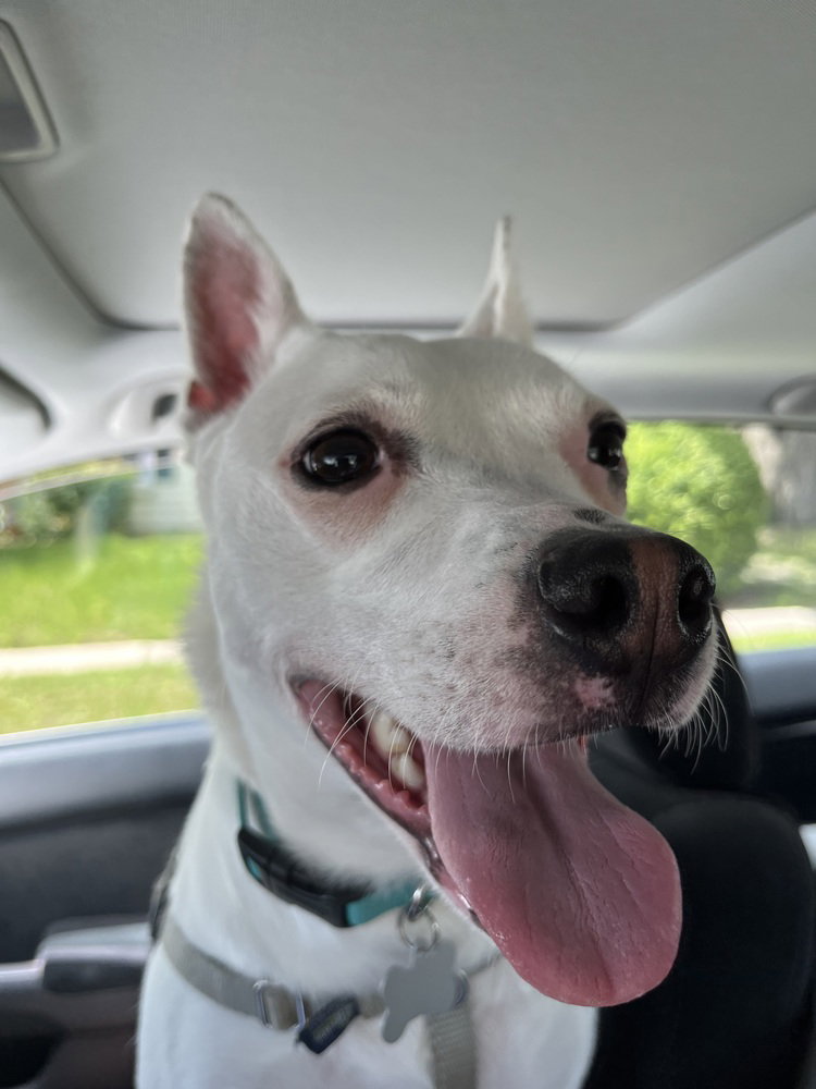 Louie, photo 3