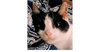 Effie - Photo 1