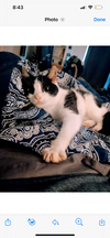 Effie - Photo 2