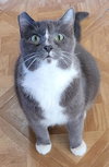 Sophie - Photo 1