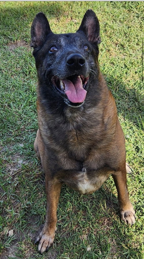 Tyson