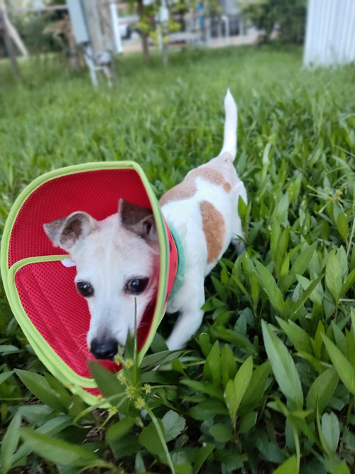 Chloe photo 2