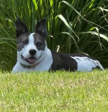 Mia image 2