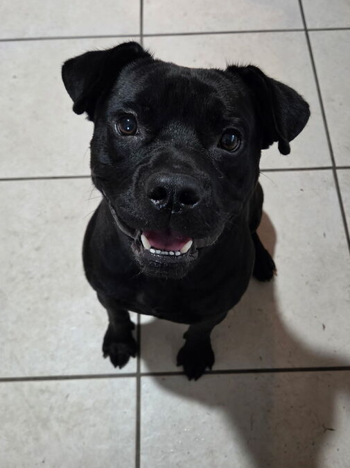 Booker, photo 2