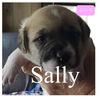 Sally