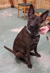 Buster