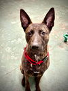 Buster