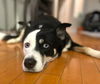 LUCY FKA LULU