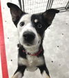 LUCY FKA LULU