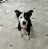 LUCY FKA LULU