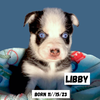 LIBBY