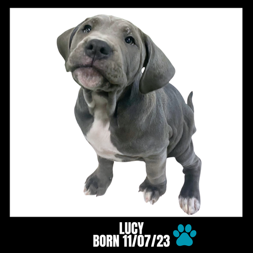 LUCY