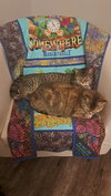 CAT - FAITH - Photo 3