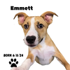 Emmett E Litter