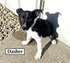 DASHER