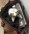 CAT - HOOSIER