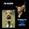 Kazoo