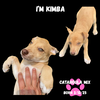 Kimba