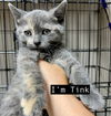 CAT-TINK
