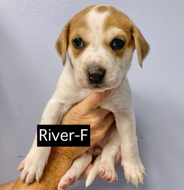 R - RIVER