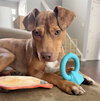 CHILI - Photo 10