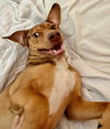 CHILI - Photo 5