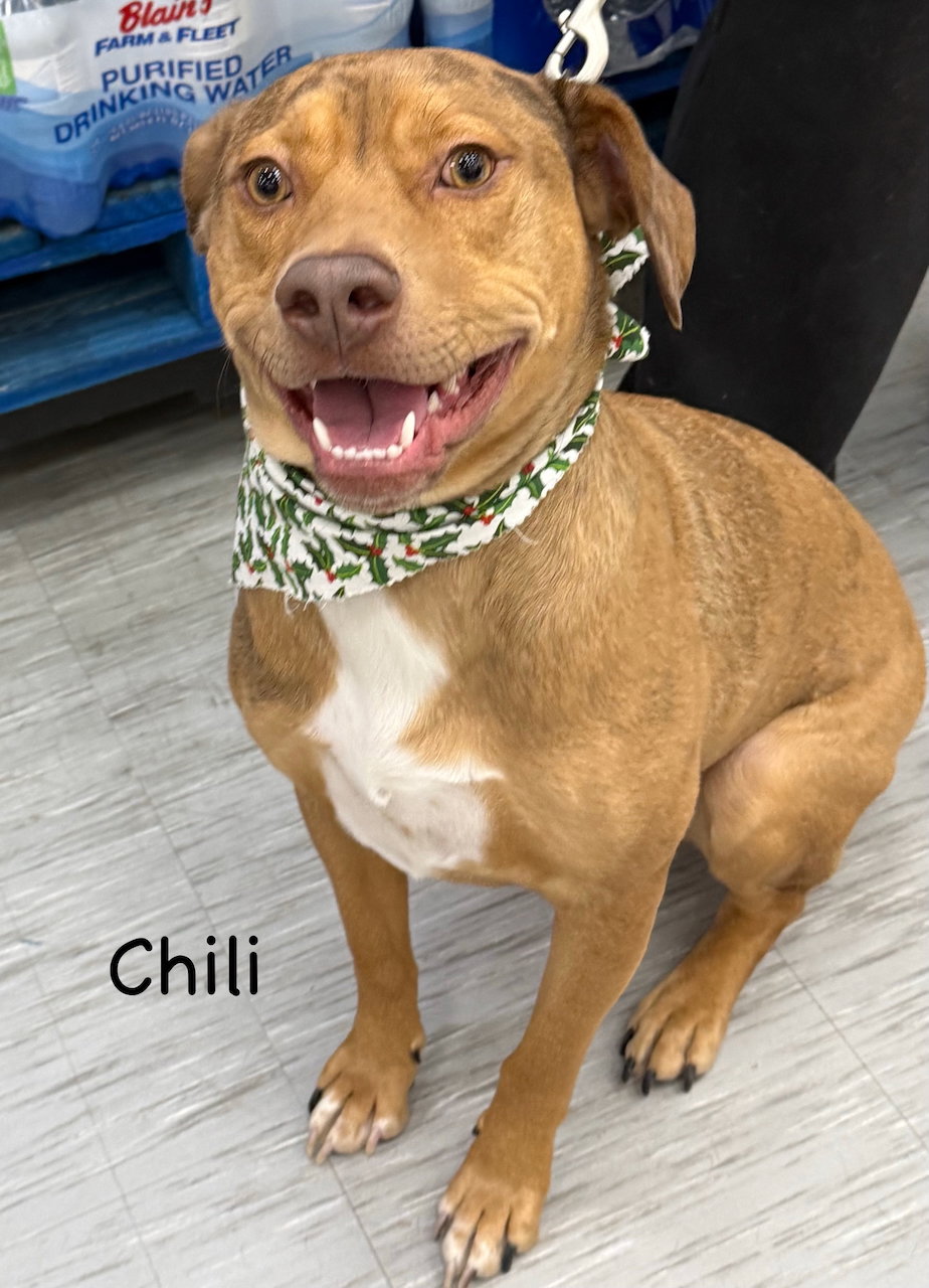 CHILI