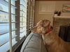 CHILI - Photo 3