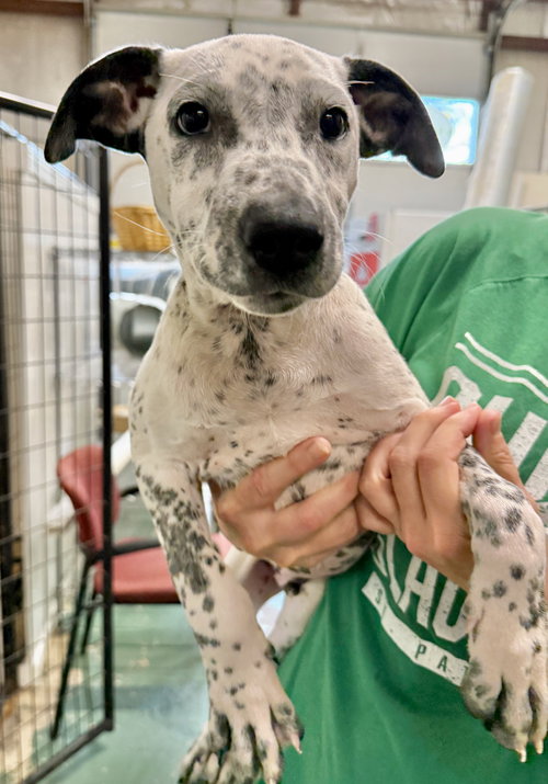 Photo of TUCKER