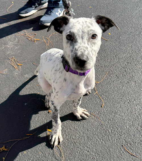 Photo of TUCKER