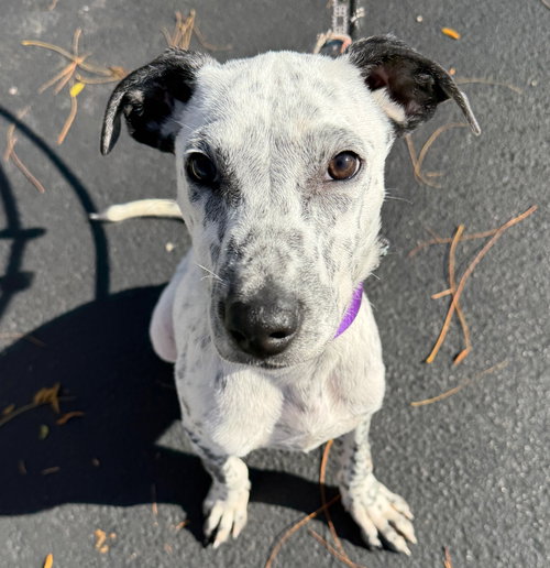 Photo of TUCKER