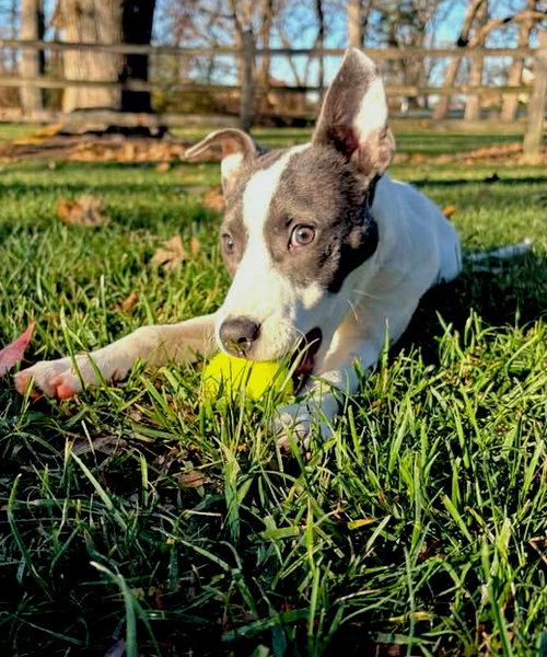 Photo of TINA