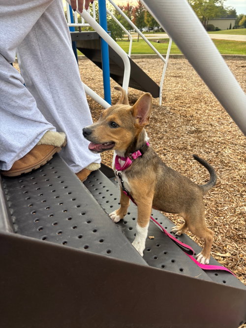 Photo of TRIXIE