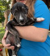 NEELY - Photo 9