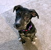 NEELY - Photo 4