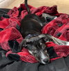 NEELY - Photo 5