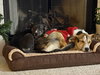 NEELY - Photo 6