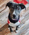 NEELY - Photo 3