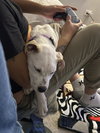 RASCAL - Photo 6