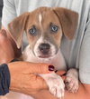 Zeus - Photo 1