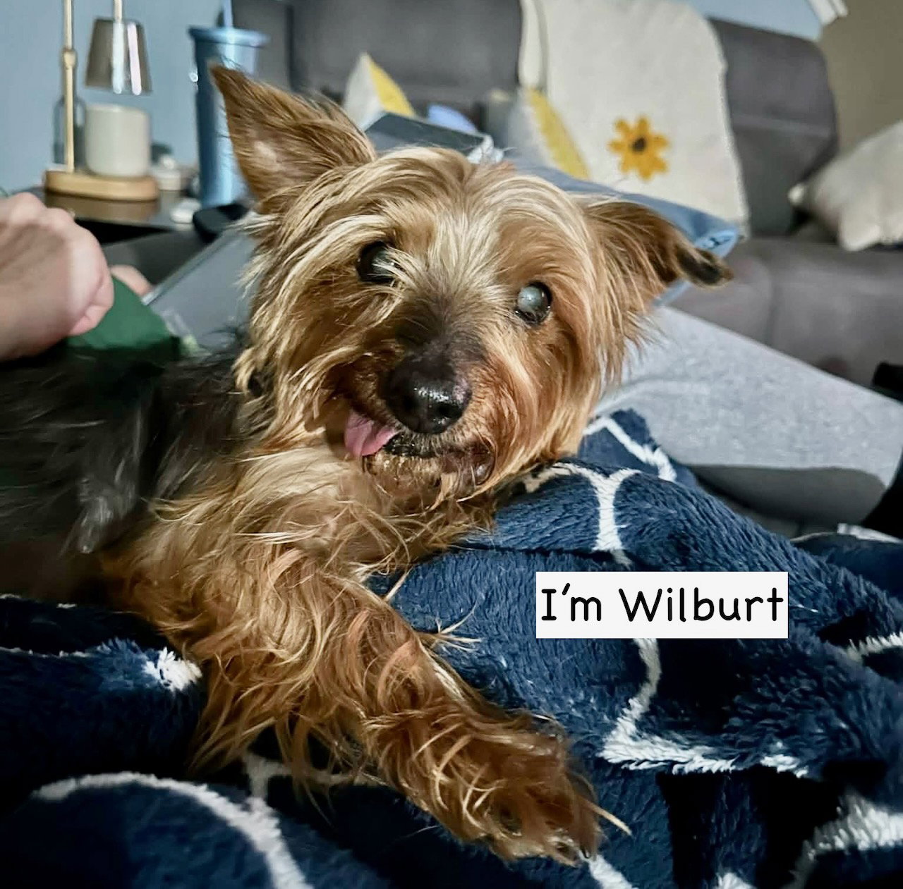 Wilbert