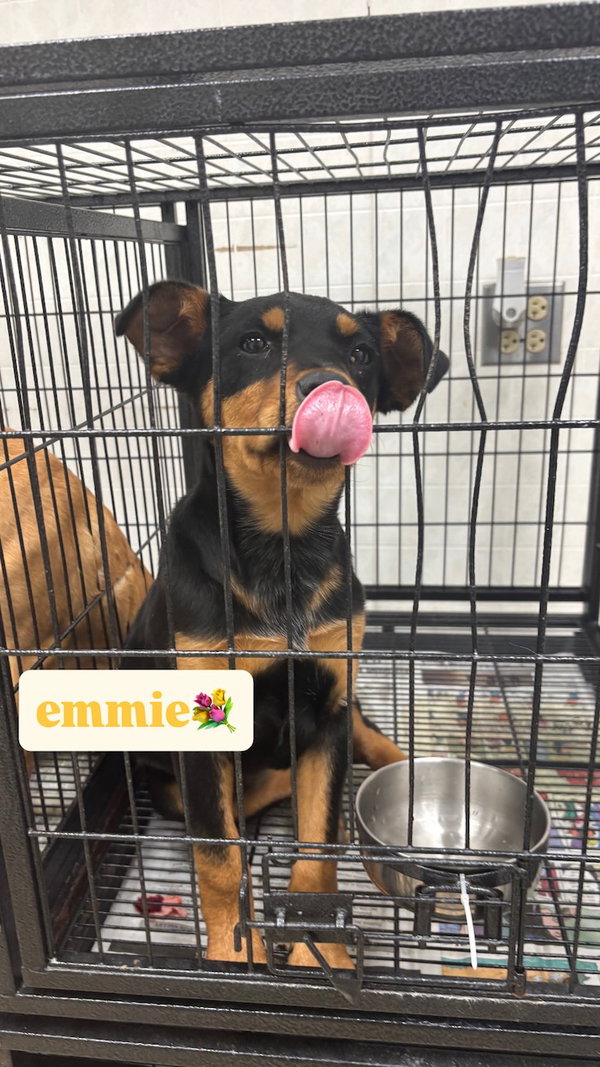Emmie