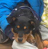 Emmie - Photo 2