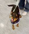 Emmie - Photo 2