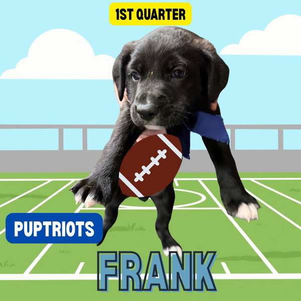 Frank