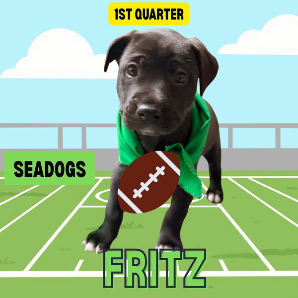 Fritz