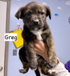 Greg - Photo 6