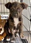 Greg - Photo 4