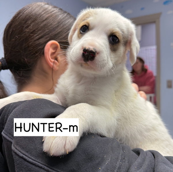 Hunter