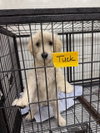 Tuck - Photo 2